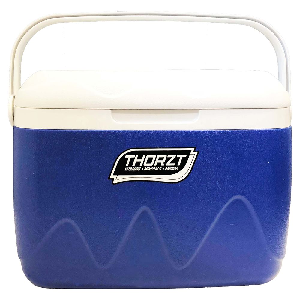 Thorzt 21L Ice Box