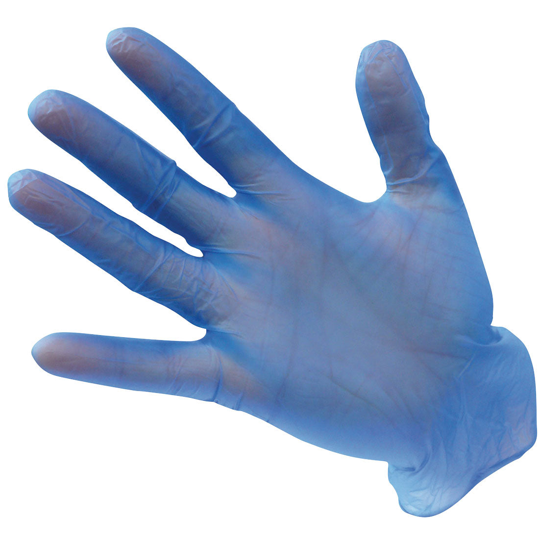 Portwest Powder Free Vinyl Disposable Glove in Blue