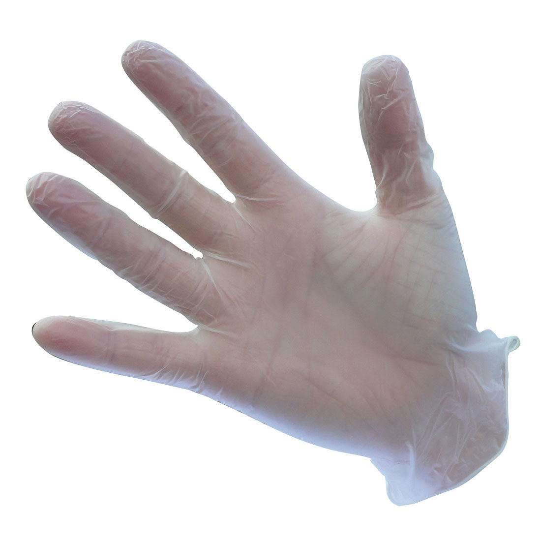 Portwest Powder Free Vinyl Disposable Glove in Clear