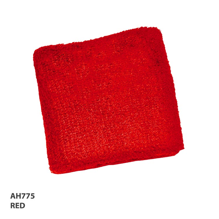 Wrist Band 2.75 Inch