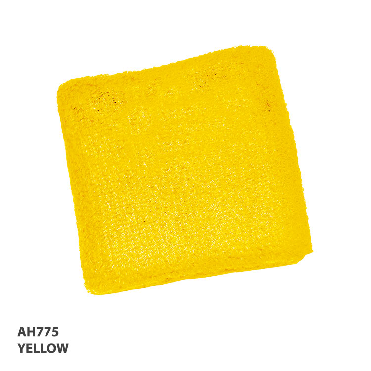 Wrist Band 2.75 Inch