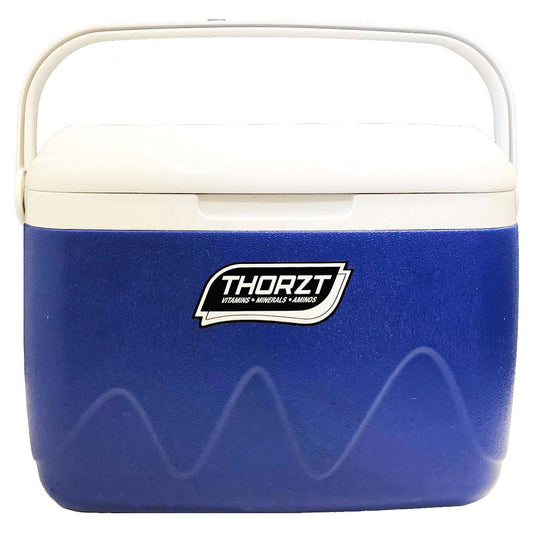 Thorzt 21L Ice Box