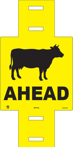 Cattle Ahead (Cattle Picto + Ahead Text), 600 x 600 Sign - Safety Sign